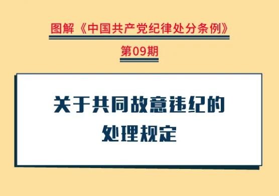 党纪学习教育丨关于共同故意违纪的处理规定