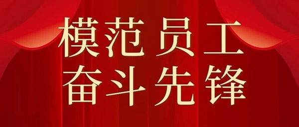 【榜样如旗】2025年模范员工风采展示
