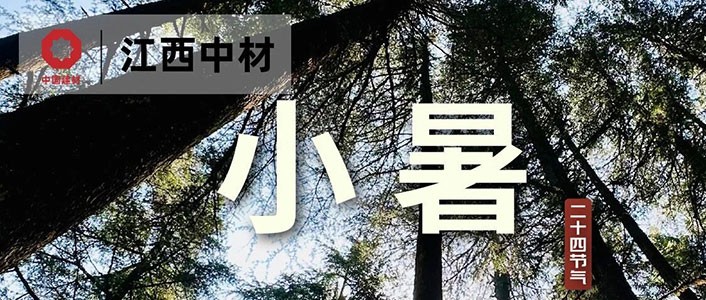 小暑 | 蝉鸣小暑，夏日悠长